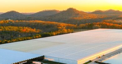 COFRA acquires Dalsem, a leading developer of high-tech greenhouses worldwide