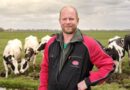 FrieslandCampina, Rabobank and Lely start pilot to reduce nitrogen