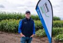 New herbicide option to control Caltrop in sorghum