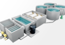 Normex Granted Patent for Razone Technology for Water Quality Stabilisation in RAS Facilities