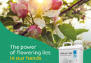 The power of flowering lies in our hands, Tradecorp’s sustainable answer to growers’ needs to improve growth and future harvests
