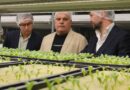 “Greeneration” An Innovative Food Hub Launches in Dubai